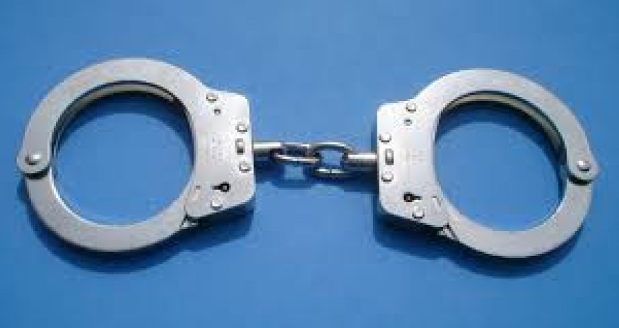 Lerikdə yanğına səbəb olan şəxslər saxlanıldı