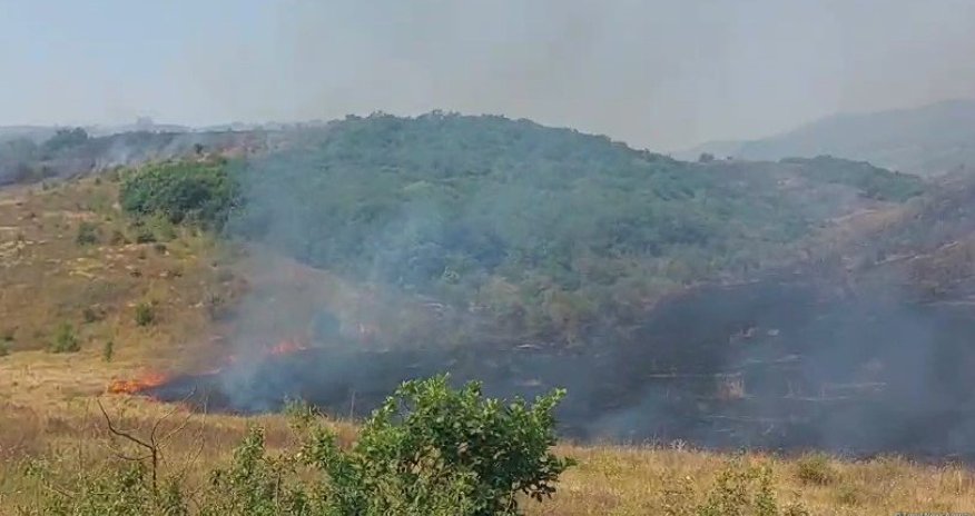 Meşə və yaxın sahələrdə baş verən yanğınların sayı açıqlanıb