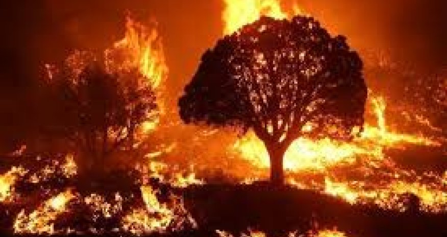 Aghdam fire spreads to the Khojavend district