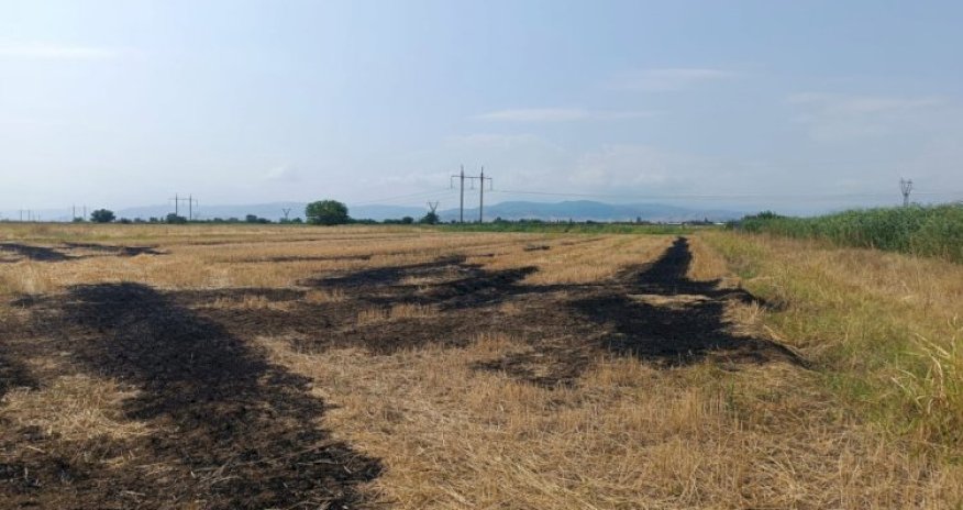 Tovuzda kənd təsərrüfatı sahələrinin yandırılmasında şübhəli bilinən iki nəfər saxlanılıb