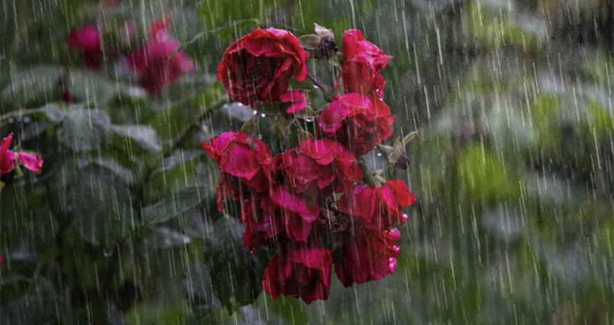 Bəzi yerlərdə arabir leysan xarakterli yağış yağıb - FAKTİKİ HAVA