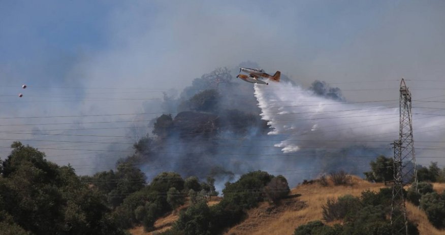 
В Турции пожар перекинулся на лесной массив