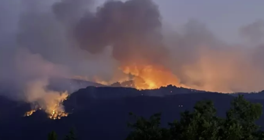 Azərbaycanda bir həftə ərzində 780 yanğına müdaxilə edilib