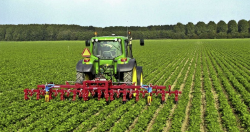 Altı ayda 600 milyon dollardan çox aqrar və aqrar-sənaye məhsulu ixrac edilib