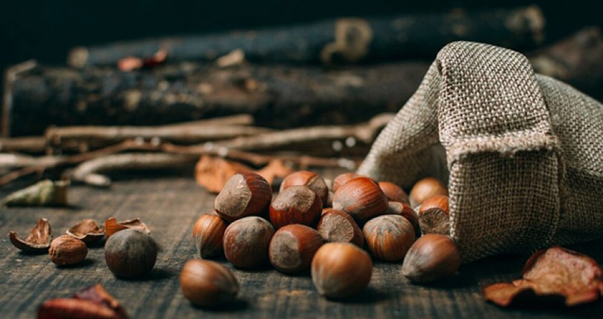 Azərbaycanın meşə fındığı ixracı 49% artaraq 76 milyon dollara çatıb