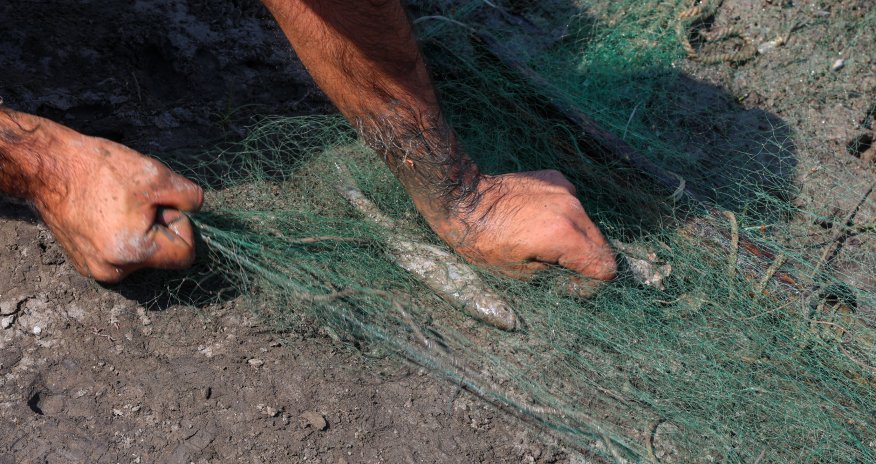 Kür çayında qadağan olunmuş balıq ovu alətləri aşkarlanıb