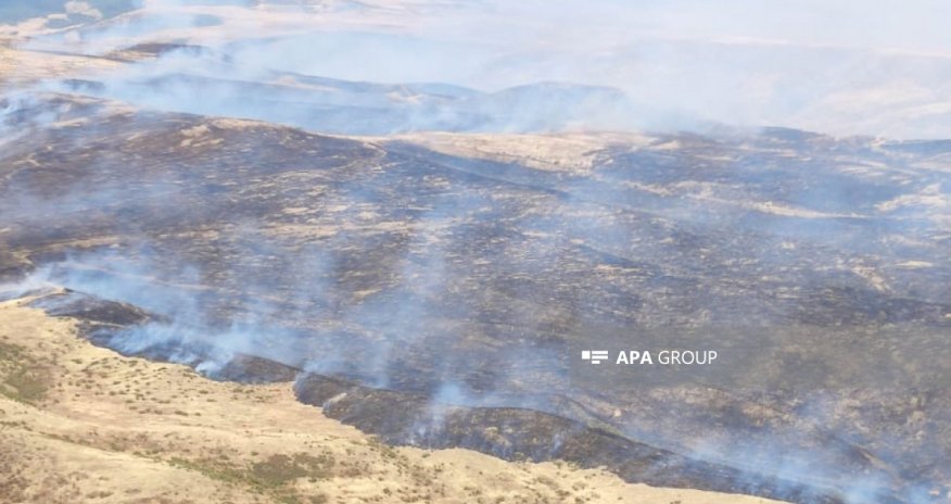 Naxçıvanda Günnüt kəndində dağlıq ərazidə otluq sahədə yanğın olub