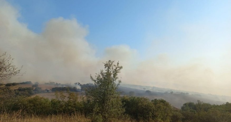 Türkiyədə meşəlik ərazi yanır