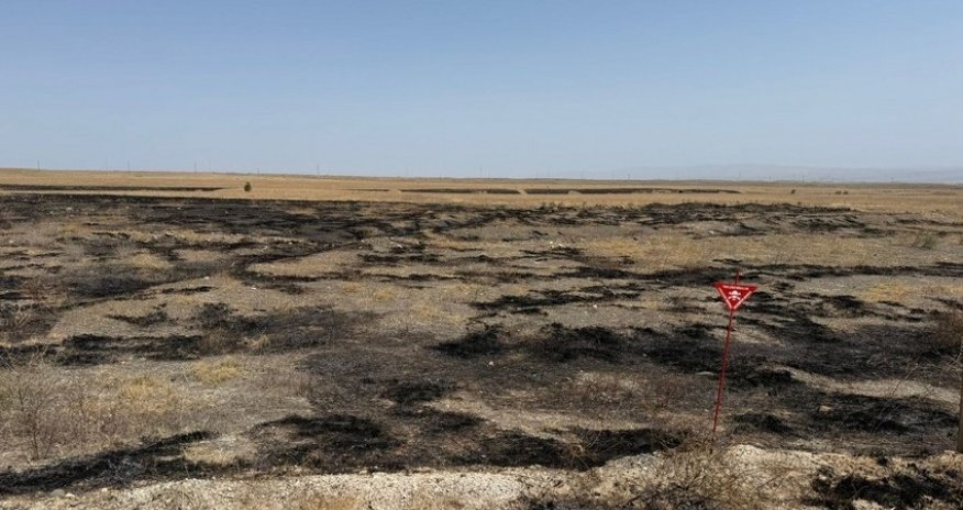 Cəbrayılda yanğına səbəb olan şəxslər saxlanılıb