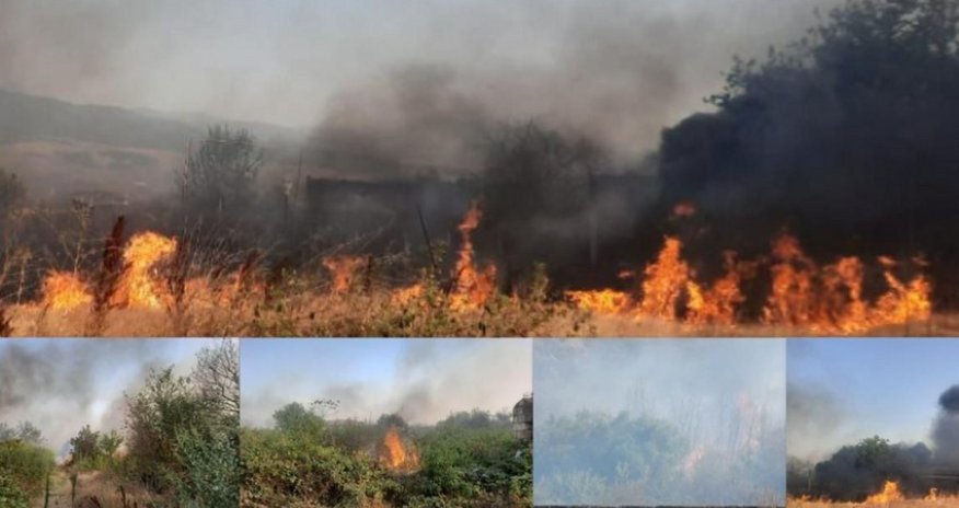 
Xocalıda yanğına səbəb olan şəxs saxlanılıb