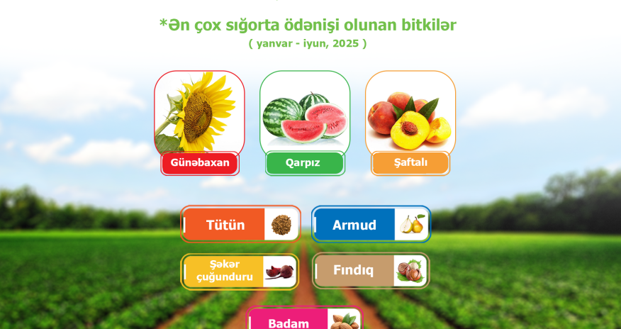 Azərbaycanda aqrar sığorta ödənişləri 4,4 milyon manatı ötüb