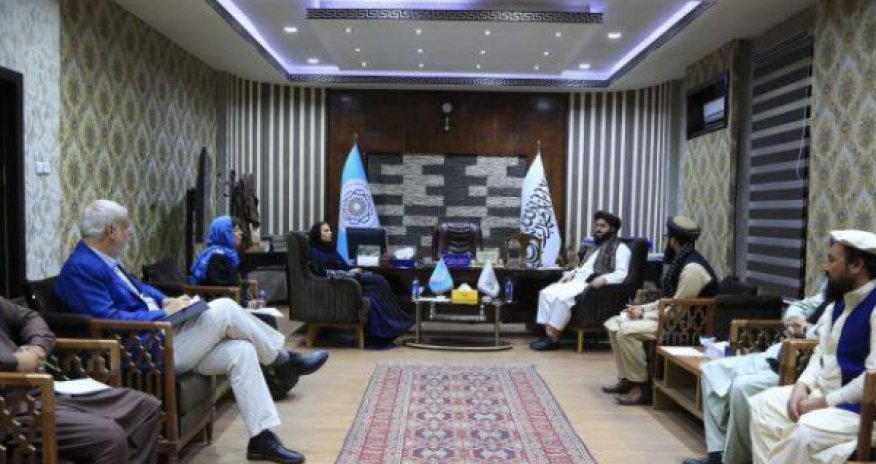 Талибы хотят торговать с Европой