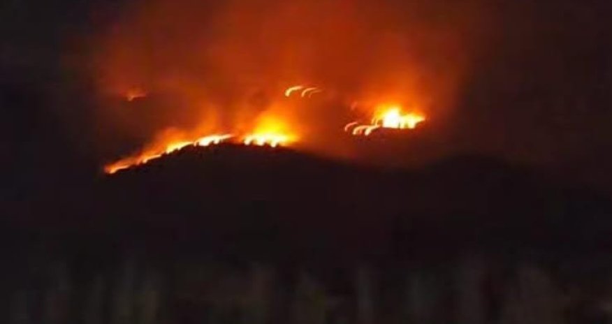 Ağdərədə meşədə yanğın başlayıb