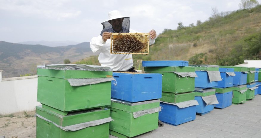 Nazirlik 26 nəfəri özünəməşğulluq xidmətinə cəlb edilməsinə dəstək olub
