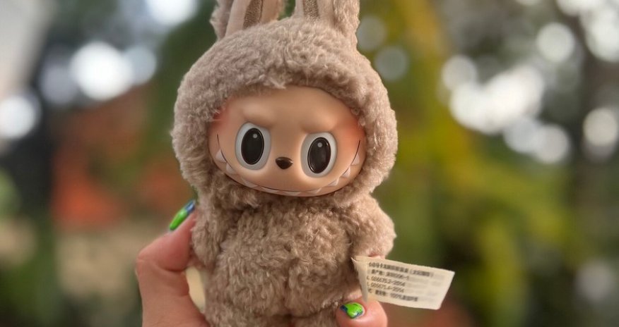 В штате Калифорния из магазина украли Лабубу на $30 тыс