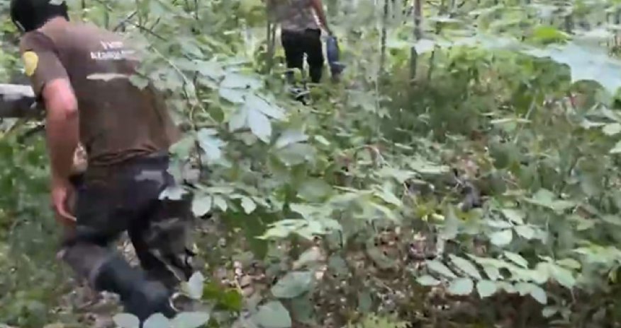 Meşədə itkin düşən şəxs tapılıb - Video