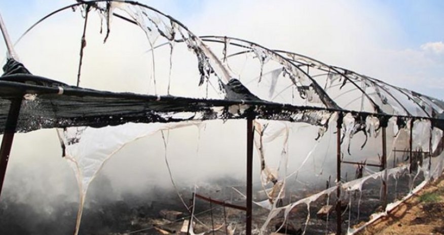 Şəmkirdə istixana yanıb