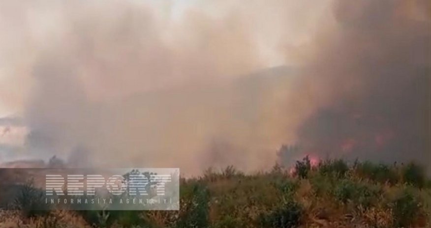 Пожар в горной местности в Агдере перекинулся на лесной массив