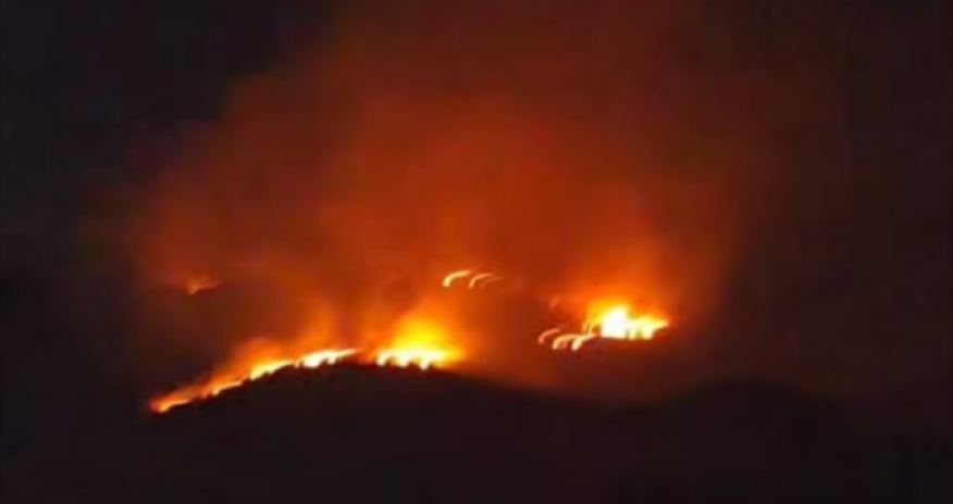 Zəngilanda yanğın törədən şəxs müəyyən edilib