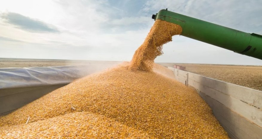 Azerbaijan&rsquo;s grain imports from Kazakhstan surge 121 times