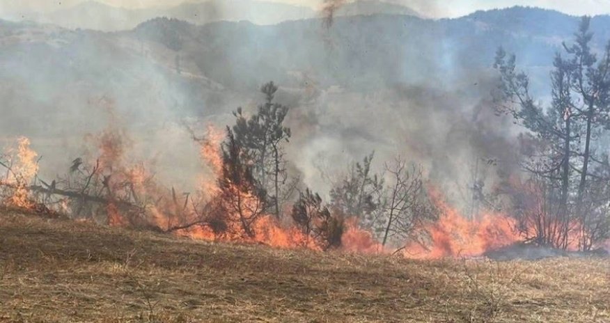 Cəlilabadda yanğın törədən şəxslər məsuliyyətə cəlb olunublar