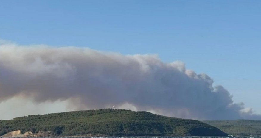 Türkiyədə meşə yanır, iki kənd təxliyə olunub