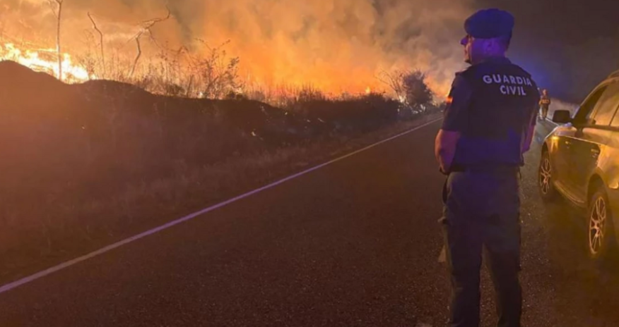 Лесные пожары в Испании унесли жизни семи человек
