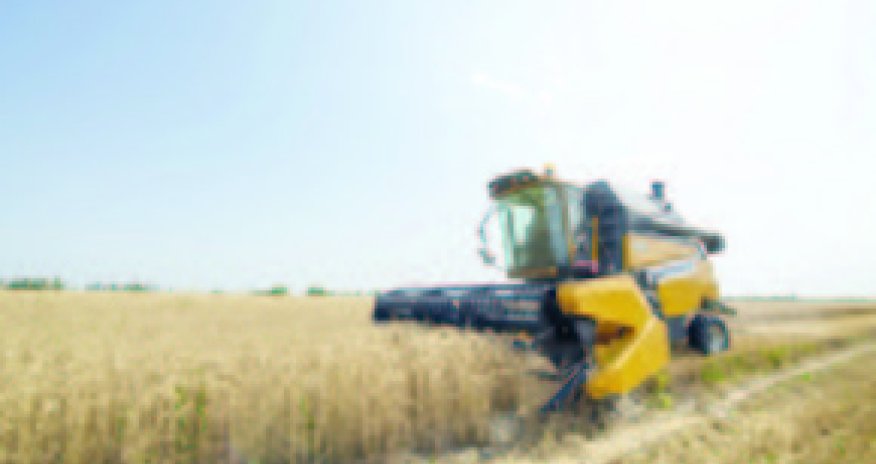 Maliyyə Nazirliyi aqrar subsidiyalarla bağlı islahatlar keçirəcək