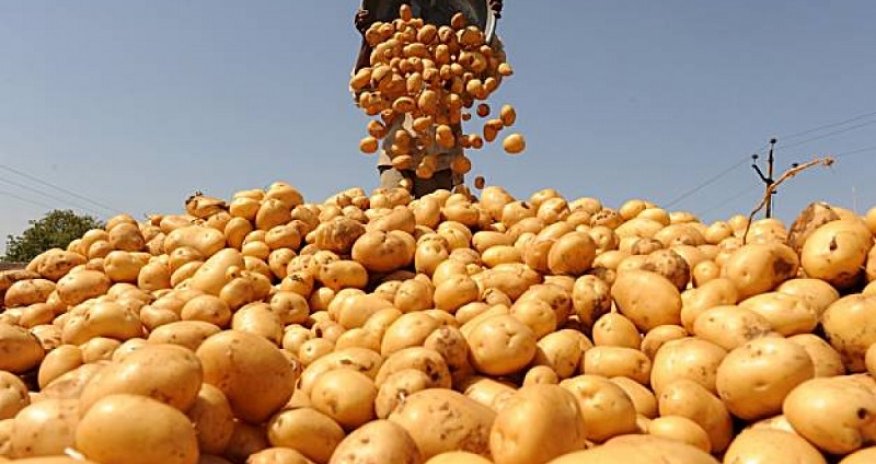 Azerbaijan ranks 107th in the world for potato prices
