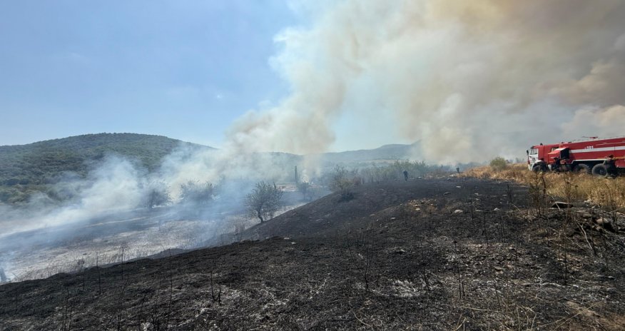 

Xocalıda yanğına səbəb olan şəxs saxlanılıb
