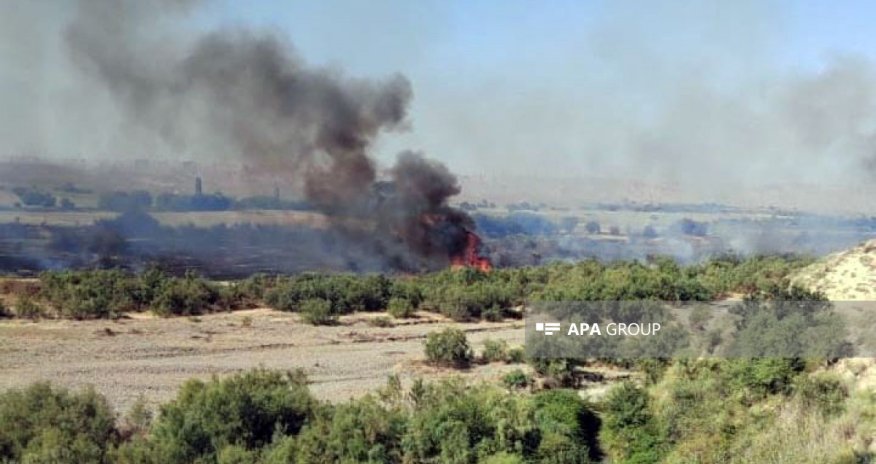 Şəmkirdə açıq ərazidə yanğın başlayıb