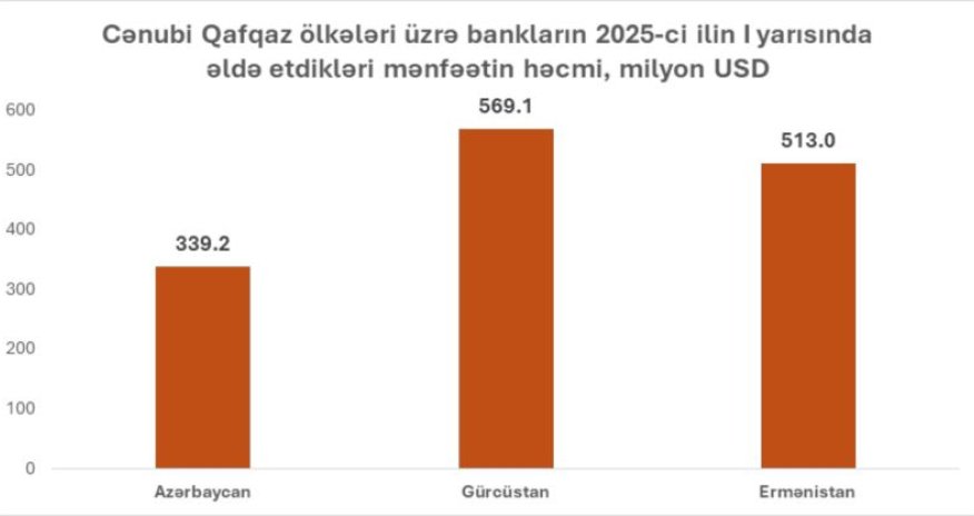 2025-ci ilin 6 ayında Cənubi Qafqazda Gürcüstan bankları ən çox mənfəət qazanıb