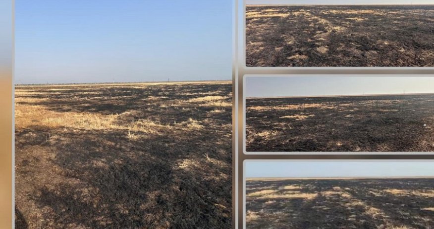 Cəlilabadda yanğın törədən şəxs məsuliyyətə cəlb edilib