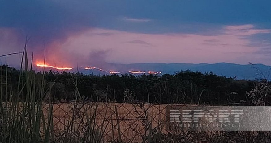 Лесной пожар в Агдере из-за ветра распространился на территорию Агдама