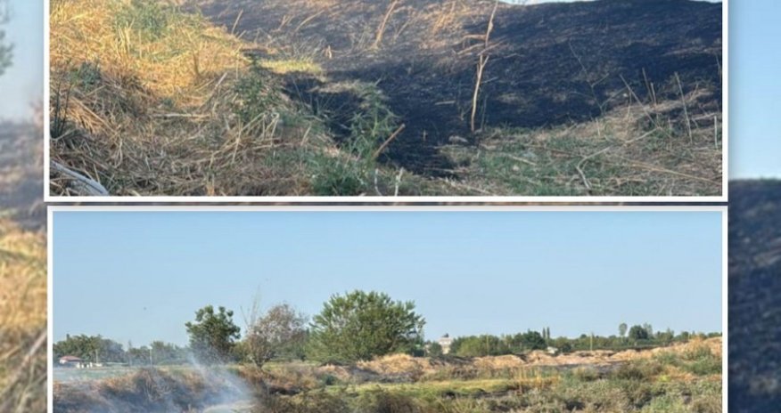 Ağdamda yanğın törətməkdə şübhəli bilinən şəxs saxlanılıb