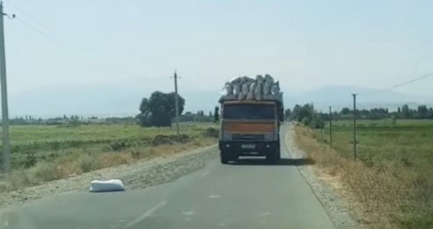 Tərtərdə yola günəbaxan tumları səpən şəxs məsuliyyətə cəlb edilib