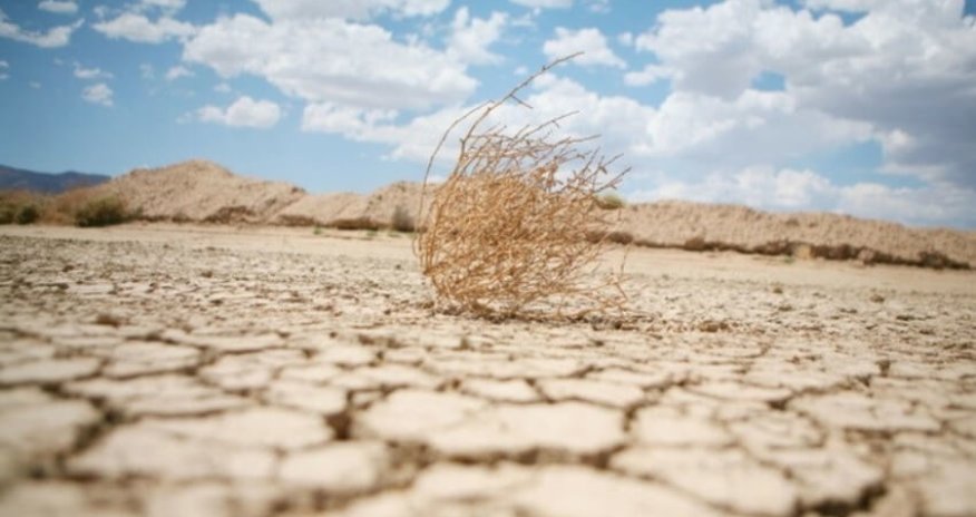 Armenia, Georgia hit by record drought
