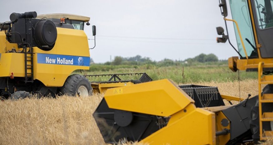 Для фермеров Нахчывана закупят 320 тонн озимых семян