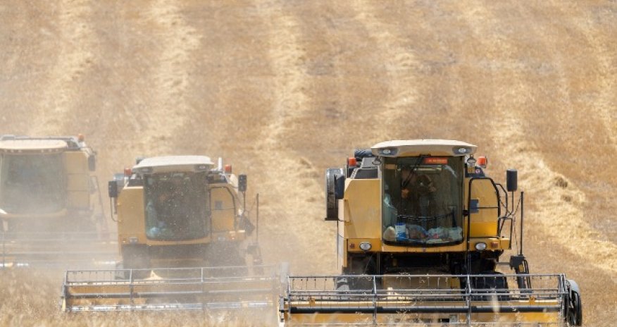 Qazaxıstan və Azərbaycan kənd təsərrüfatı əməkdaşlığını dərinləşdirir - Analiz