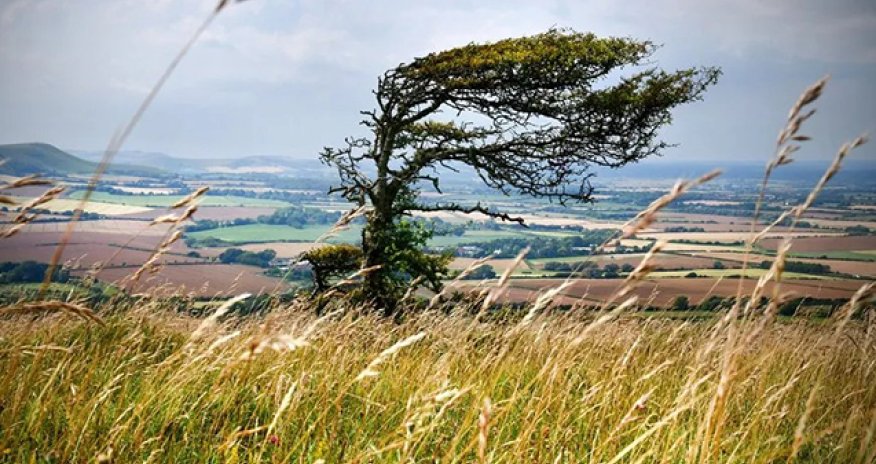BDYPİ küləkli hava ilə bağlı sürücülərə xəbərdarlıq edib