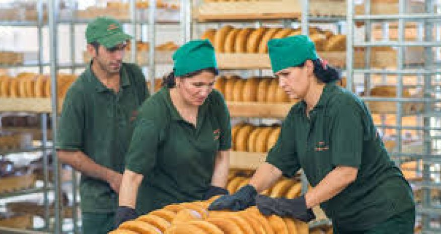 Naxçıvanda çörək emalı müəssisəsinin fəaliyyəti məhdudlaşdırılıb