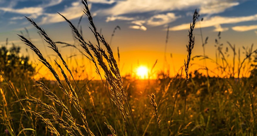 Sabahın hava proqnozu açıqlanıb