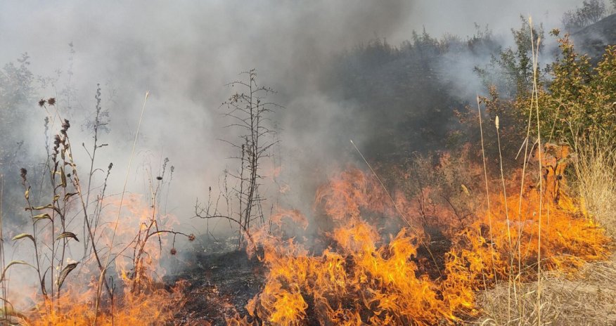 Qazaxda açıq ərazidə yanğın olub