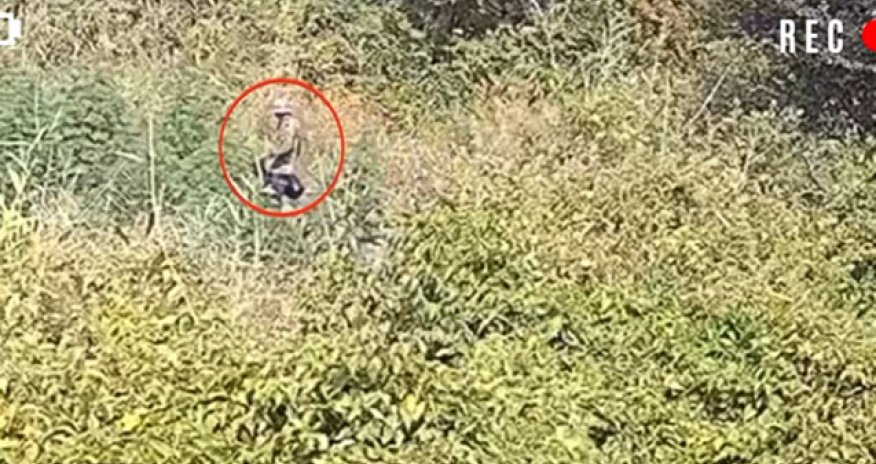 Balakəndə 72 kq narkotik bitki aşkarlanıb, 2 nəfər saxlanılıb