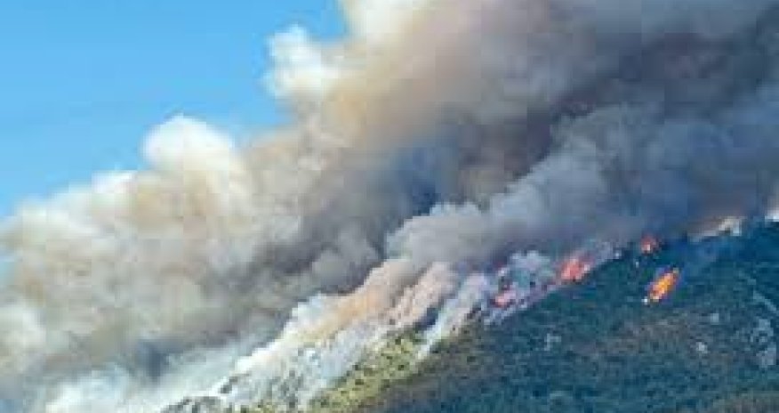 В трех провинциях Турции бушуют лесные пожары