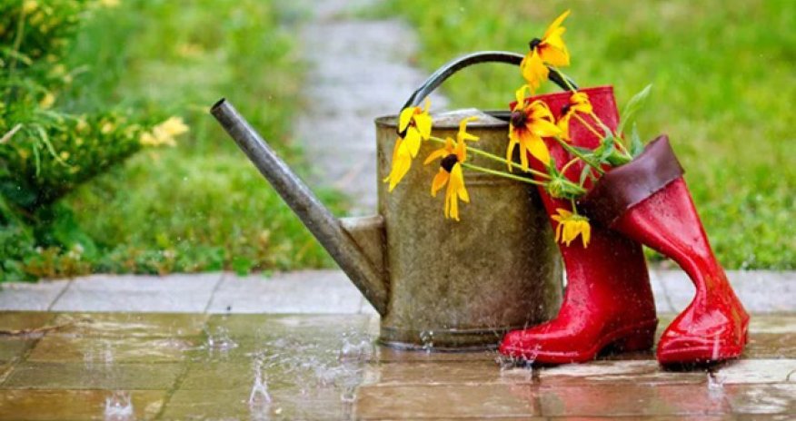 Sabahın hava proqnozu açıqlanıb