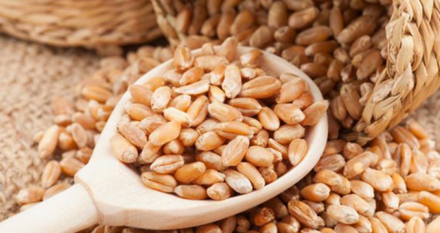 Azərbaycanda düyü ehtiyatları 2024-cü ildə 20% artaraq 93,5 min tona çatıb