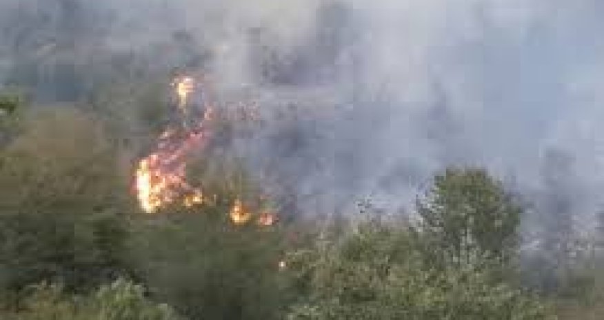 Ağdərədə dağlıq ərazidə yanğın olub - Video