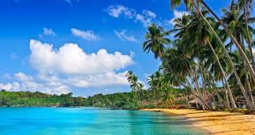 Havayda &ldquo;Kiko&rdquo; qasırğasına görə fövqəladə vəziyyət elan edilib