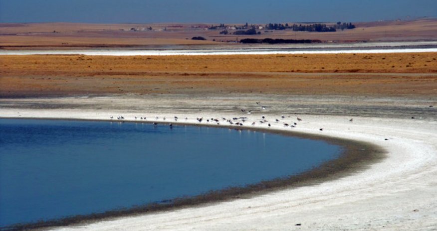 Duz gölünə tullantı su axıdan vətəndaşlar cərimələnəcək